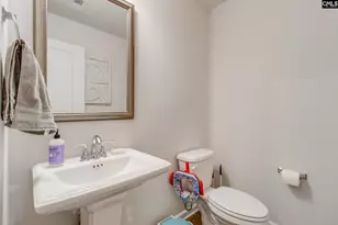 325 Chetsley Dr, Lexington, SC 29073 - Photo 16