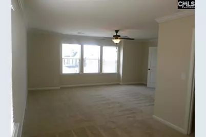 297 Massey Circle, Chapin, SC 29036 - Photo 12