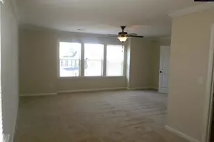 297 Massey Cir, Chapin, SC 29036 - Photo 12