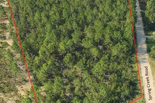 Tbd Spring Creek 1B Rd, Lugoff, SC 29078 - Photo 1