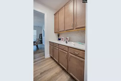 217 River Front Drive, Irmo, SC 29063 - Photo 18