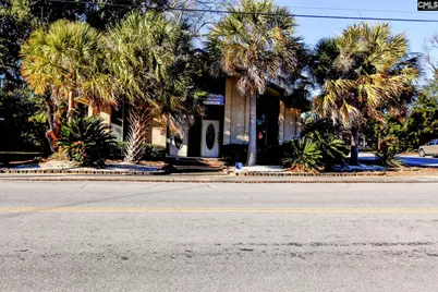 495 Dantlzer Street, Orangeburg, SC 29115 - Photo 1