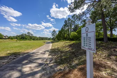 212 Cartgate Circle, Blythewood, SC 29016 - Photo 48