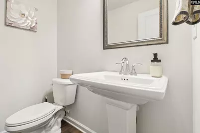 247 Chetsley Drive, Lexington, SC 29073 - Photo 14