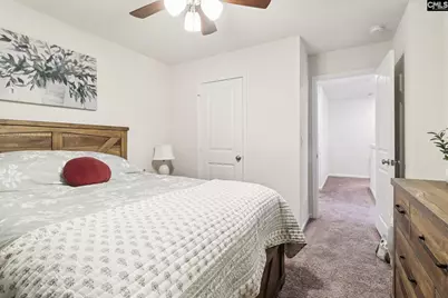 247 Chetsley Drive, Lexington, SC 29073 - Photo 12