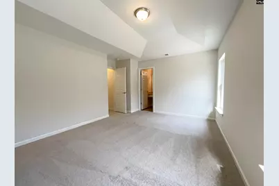 288 Wild Olive Drive, Columbia, SC 29229 - Photo 4