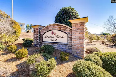 1009 Winter Way, Lexington, SC 29073 - Photo 38