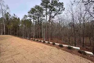 389 Highland Pointe Dr, Columbia, SC 29229 - Photo 34