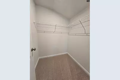 135 Bloomsbury Drive, Lexington, SC 29073 - Photo 28