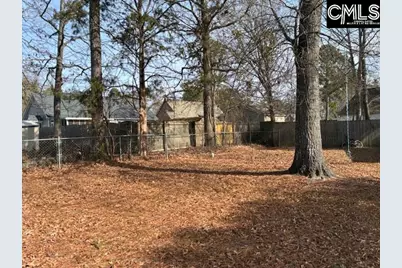 10 Cockspur Circle, Irmo, SC 29063 - Photo 12