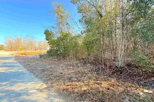 427 Gramercy Ln, Orangeburg, SC 29119 - Photo 36