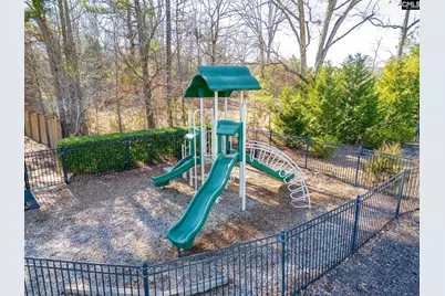 113 Caedmons Creek Drive, Irmo, SC 29063 - Photo 48