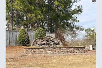 175 Savannah Hills Drive, Lexington, SC 29073 - Photo 28