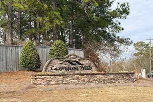 175 Savannah Hills Dr, Lexington, SC 29073 - Photo 28