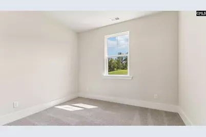316 Still Shores Drive, Gilbert, SC 29054 - Photo 16