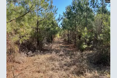 Tbd Crooked Creek Road, Chapin, SC 29036 - Photo 14