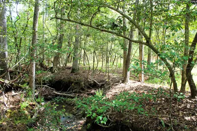 Tbd Crooked Creek Road, Chapin, SC 29036 - Photo 4