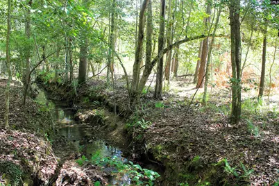Tbd Crooked Creek Road, Chapin, SC 29036 - Photo 6
