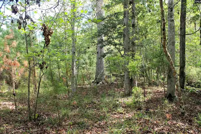 Tbd Crooked Creek Road, Chapin, SC 29036 - Photo 8