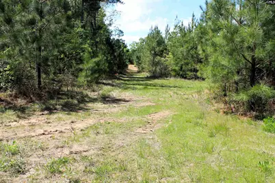 Tbd Crooked Creek Road, Chapin, SC 29036 - Photo 12