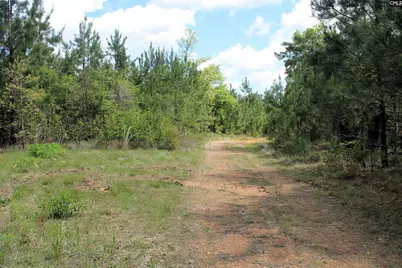 Tbd Crooked Creek Road, Chapin, SC 29036 - Photo 2