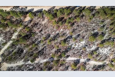 Tbd Spring Creek 1D Road, Lugoff, SC 29078 - Photo 6