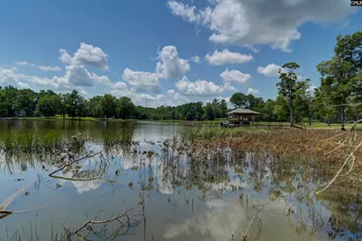 Tbd Retreat Way, Ridgeway, SC 29130 - Photo 8