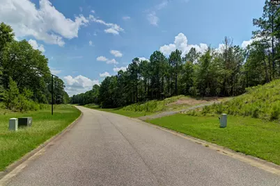 Tbd Retreat Way, Ridgeway, SC 29130 - Photo 10