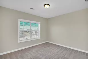 5 Mapleline Ct, Chapin, SC 29036 - Photo 34