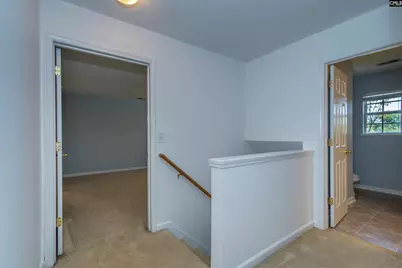 392 Eagle Pointe Drive, Chapin, SC 29036 - Photo 20