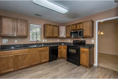 392 Eagle Pointe Drive, Chapin, SC 29036 - Photo 12