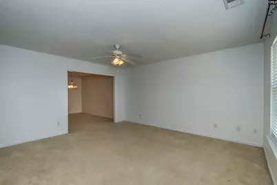 392 Eagle Pointe Drive, Chapin, SC 29036 - Photo 8