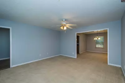 392 Eagle Pointe Drive, Chapin, SC 29036 - Photo 10