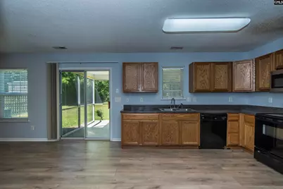 392 Eagle Pointe Drive, Chapin, SC 29036 - Photo 12