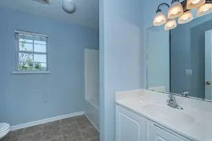 392 Eagle Pointe Dr, Chapin, SC 29036 - Photo 30