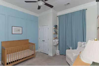 301 Explorer Drive, Chapin, SC 29036 - Photo 22