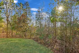 301 Explorer Dr, Chapin, SC 29036 - Photo 30