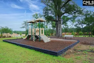 301 Explorer Dr, Chapin, SC 29036 - Photo 36