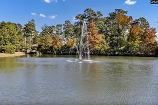 14 Ashworth Ln, Columbia, SC 29206 - Photo 56