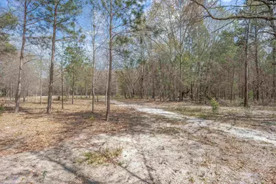 166 Woodcrest Lane, Gaston, SC 29053 - Photo 48