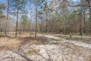 166 Woodcrest Ln, Gaston, SC 29053 - Photo 48