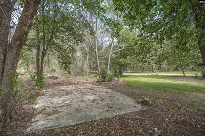 166 Woodcrest Lane, Gaston, SC 29053 - Photo 42