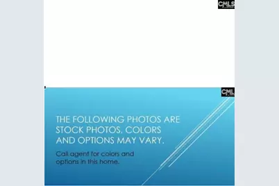 173 Monroe Preserve Lane, Chapin, SC 29036 - Photo 4