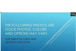 173 Monroe Preserve Ln, Chapin, SC 29036 - Photo 4