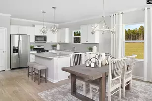 173 Monroe Preserve Ln, Chapin, SC 29036 - Photo 8