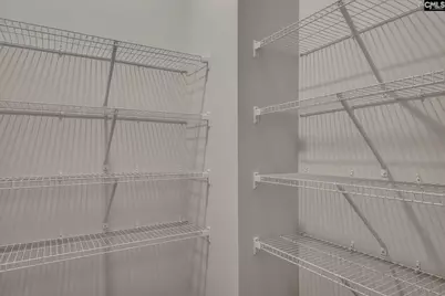 377 Still Shores Drive, Gilbert, SC 29054 - Photo 8