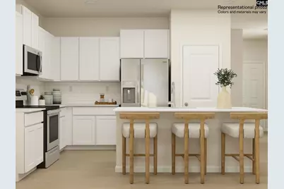 738 Ben Gunn Run, Gilbert, SC 29054 - Photo 8