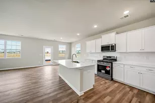 746 Ben Gunn Run, Gilbert, SC 29054 - Photo 4