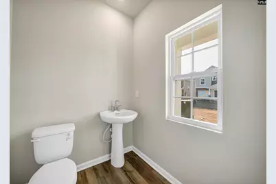 746 Ben Gunn Run, Gilbert, SC 29054 - Photo 8