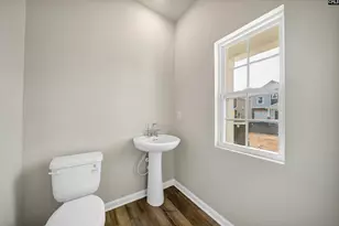 746 Ben Gunn Run, Gilbert, SC 29054 - Photo 8